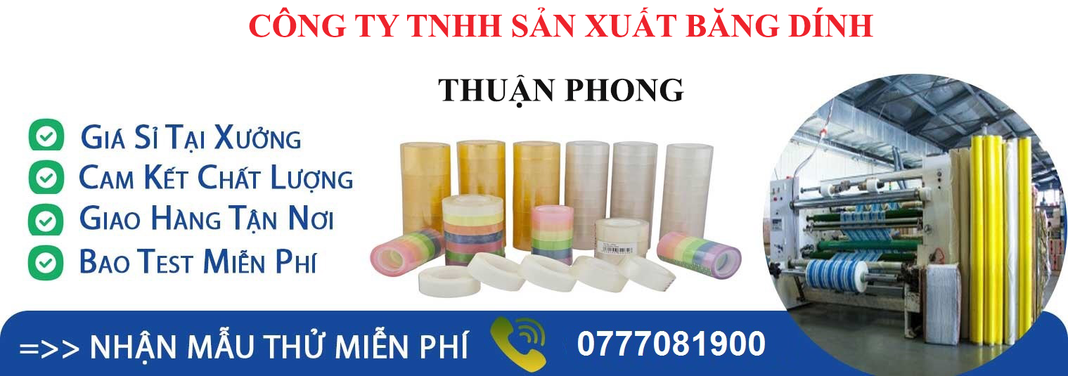 Giới thiệu về công ty bangdinhthuanphong.com